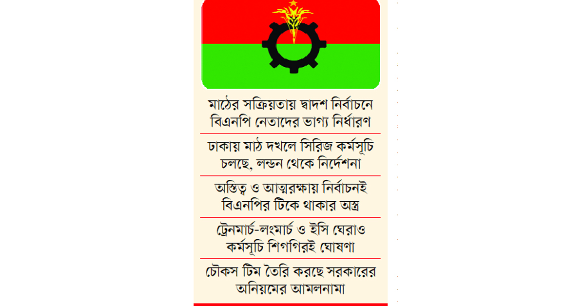 যে কৌশলে ভোটে যাবে বিএনপি  