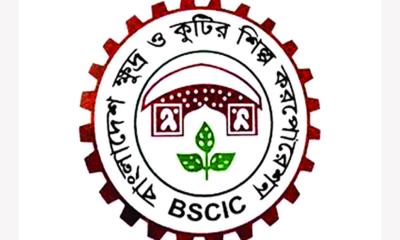 একাধিক পদে চাকরি দিচ্ছে বিসিক