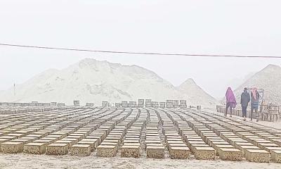 তিস্তার তীর সংরক্ষণ ব্লক তৈরিতে অনিয়ম