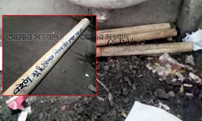 ঢাবিতে ‌‘এইটা শুধু বিশেষ বিশেষ দিন ব্যবহার করা হবে’