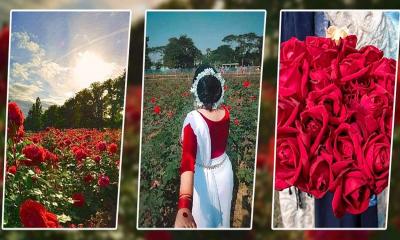 ১ দিন ঢাকার আশেপাশে ঘুরে আসার মতো ৫টি মনোরম জায়গা