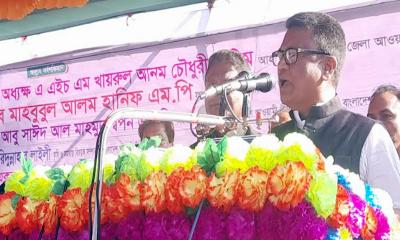 বিলবোর্ড দিয়ে মুক্তি যুদ্ধ হয়নি: সংসদ হুইপ