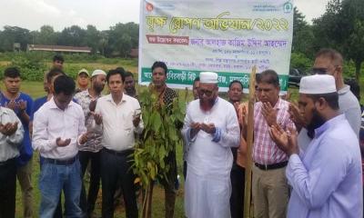 ভালুকায় বন বিভাগের বৃক্ষ রোপন অভিযানের উদ্বোধন