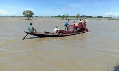 মদনে হাওরাঞ্চলে বিলুপ্তির পথে দেশি মাছ