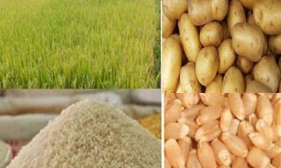 খাদ্যনিরাপত্তা নিয়ে ঝুঁকি বাড়ছে