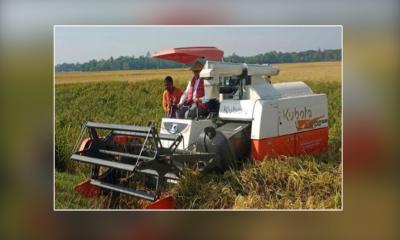 শ্রমিক সংকট দূর করবে ‘কম্বাইন হারভেস্টার’