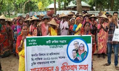 অনির্দিষ্টকালের ধর্মঘটে চা শ্রমিকরা