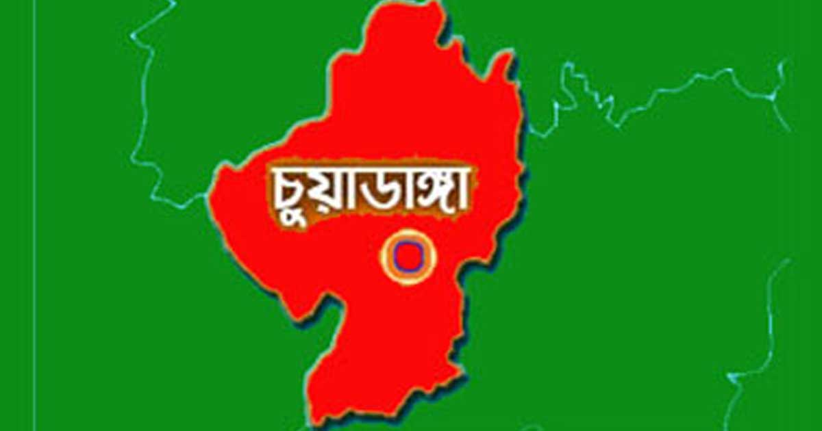 বসতবাড়ি থেকে উদ্ধার ৩৫ গোখরা জাতের অজগর