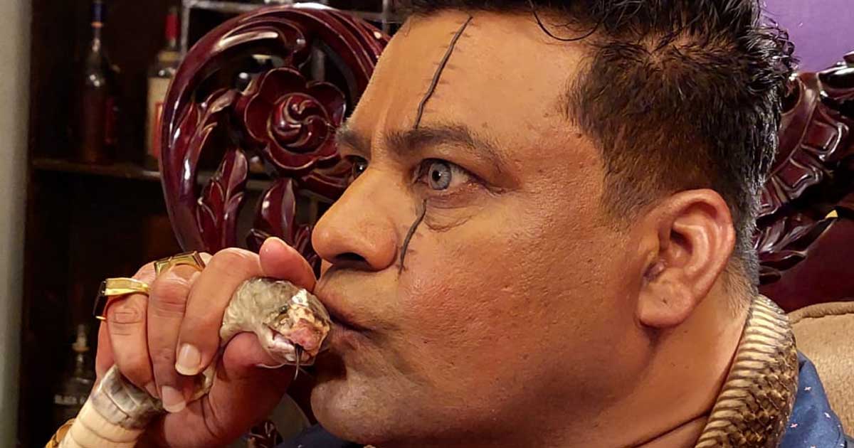 ১৫ বছর পর অভিনয়ে দোদুল