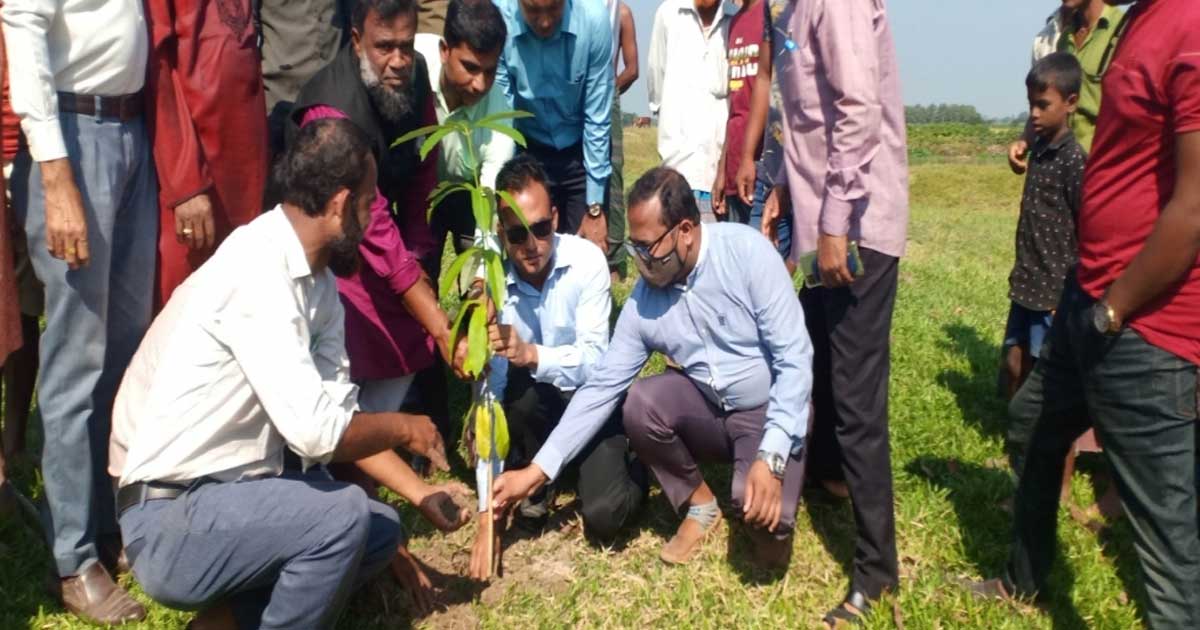 সরকারী ভূমি উদ্ধার করে ছাতিম বন