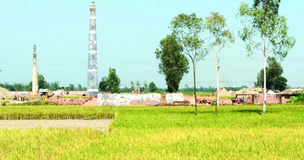 বরিশালে ইট ভাটায় উজাড় ফসলি জমি