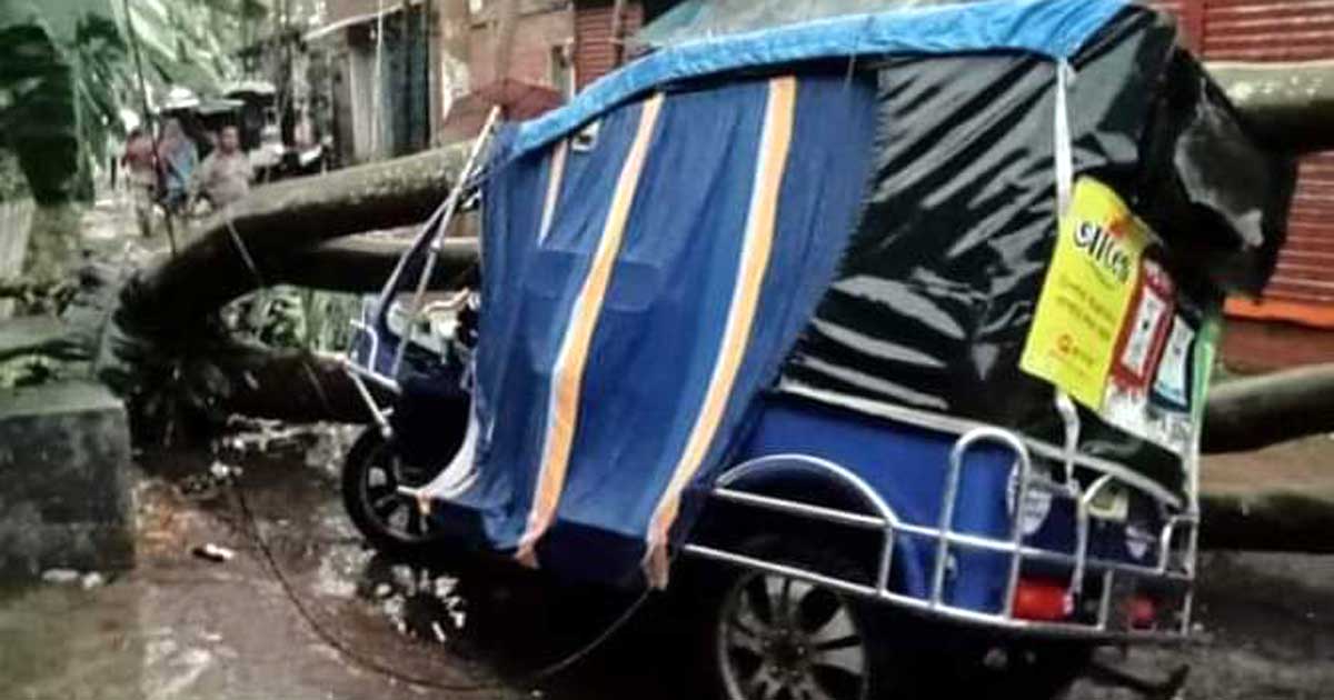 ঝালকাঠিতে গাছ পড়ে ইজিবাইক বিধ্বস্ত, আহত ৪