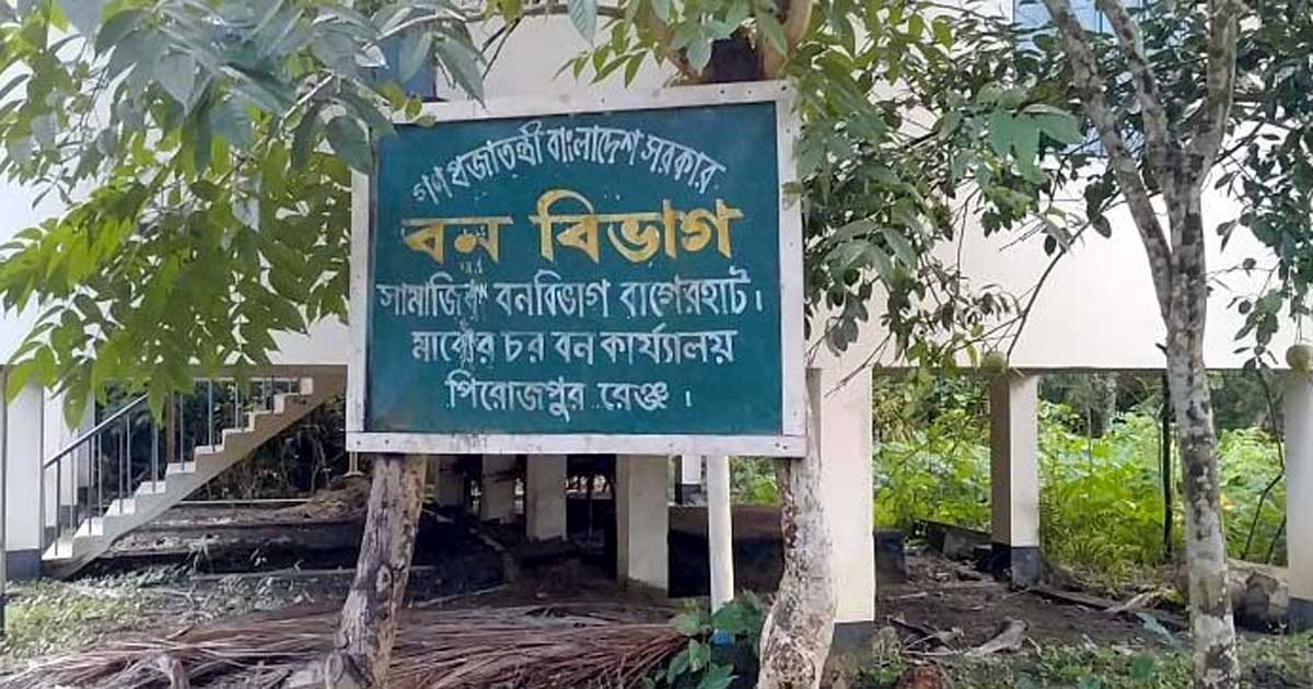 মাঝের চরে সম্পদ লুটের হিড়িক, সরকার হারাচ্ছে রাজস্ব