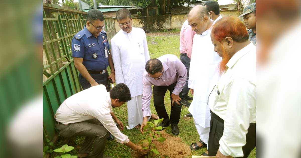 মানিকছড়িতে সাড়ে ৩ হাজার গাছের চারা রোপণ