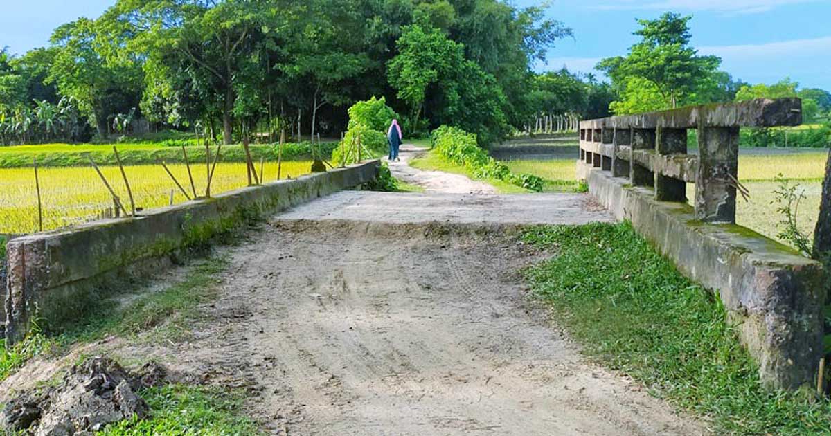 গৌরীপুরে সেতু ঝুঁকিপূর্ণ, পারাপারে দুর্ভোগ