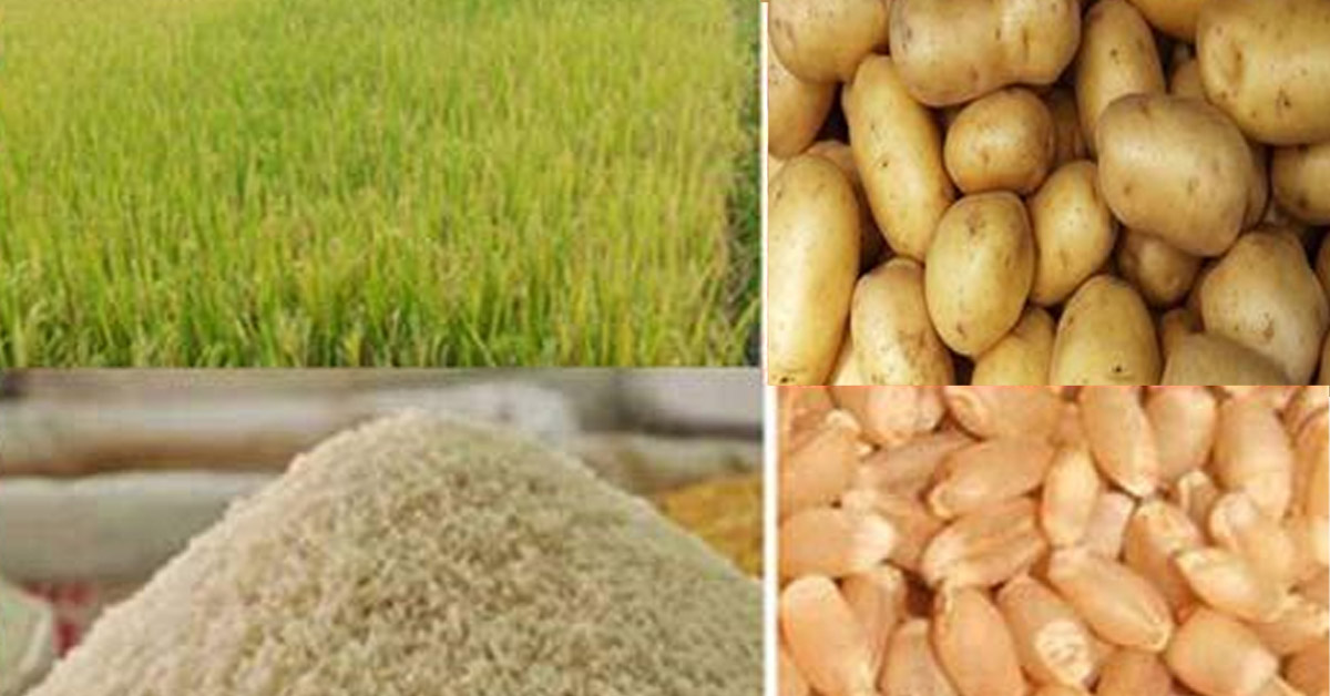 খাদ্যনিরাপত্তা নিয়ে ঝুঁকি বাড়ছে