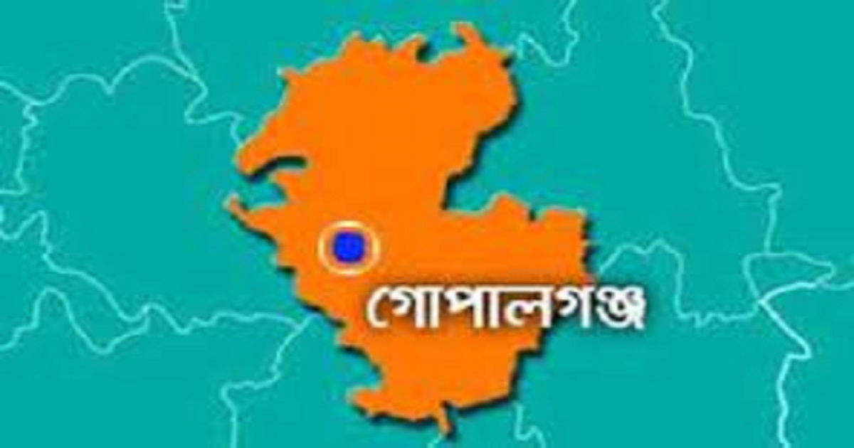 কাশিয়ানীতে বনভোজনের বাসে দুর্বৃত্তদের হামলা