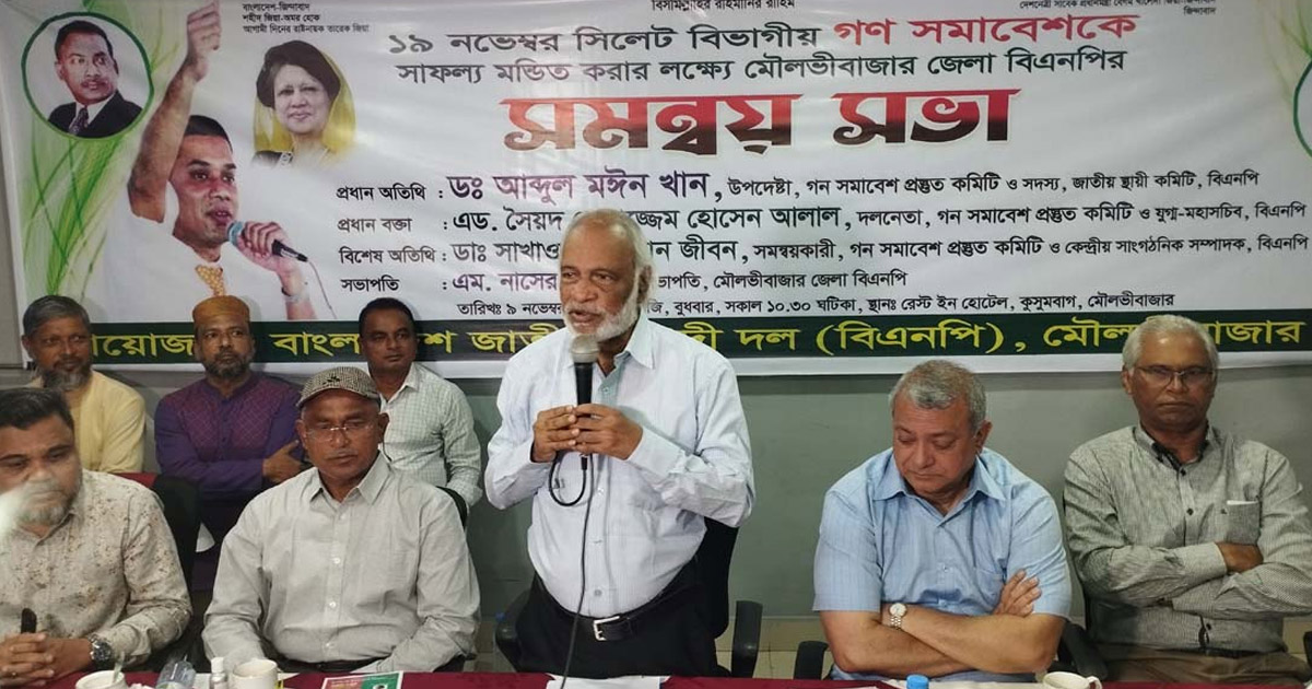 জনগণের ভোটের অধিকার ফিরিয়ে দিতে চায় বিএনপি: মঈন খান