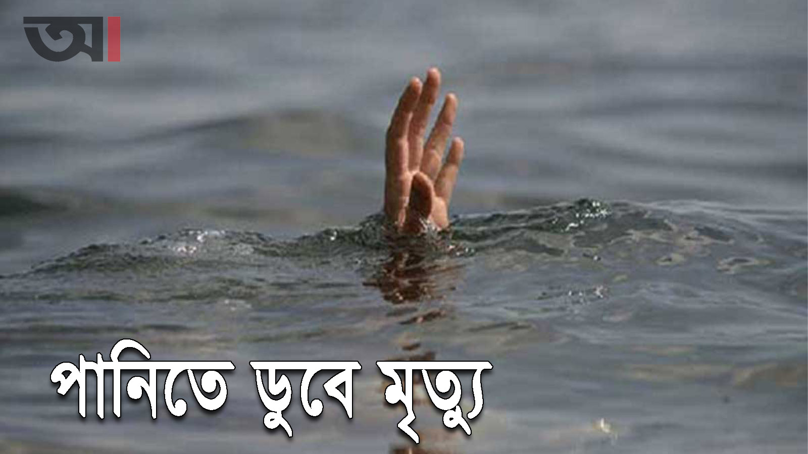 কমলগঞ্জে পানিতে ডুবে দেড় বছরের শিশুর মৃত্যু