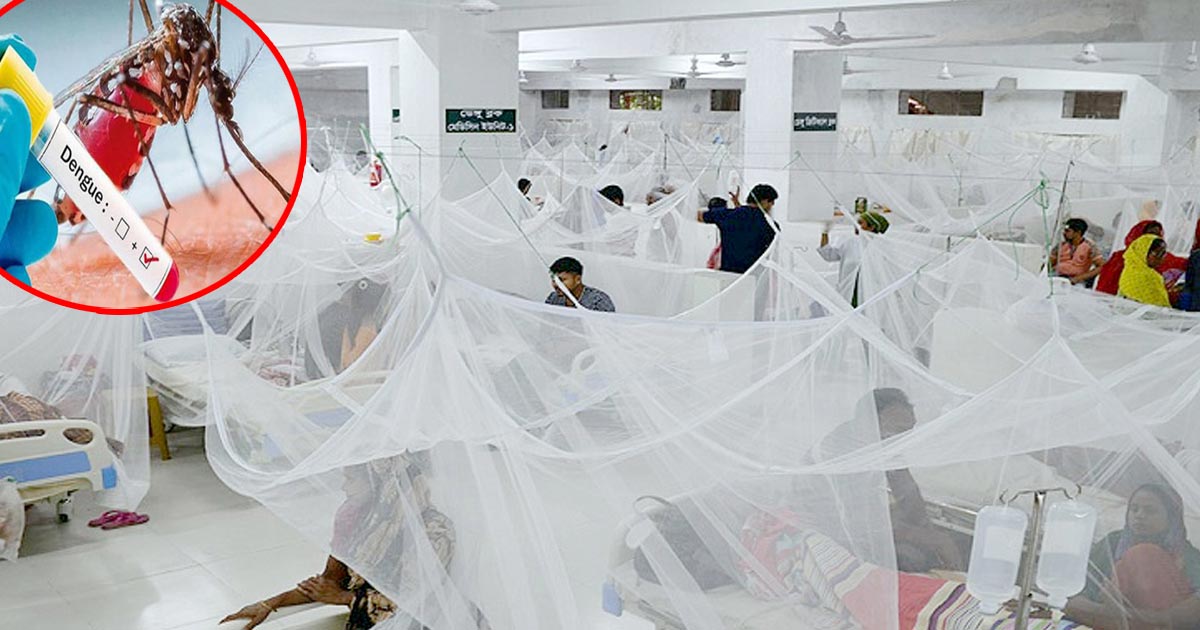 ধরন বদলে সারাদেশে দ্রুত ছড়াচ্ছে ডেঙ্গু