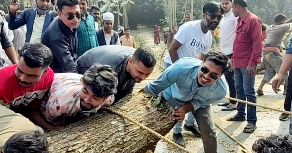 রাস্তা থেকে গাছ সরিয়ে প্রশংসায় ভাসছেন এমপি মাশরাফি