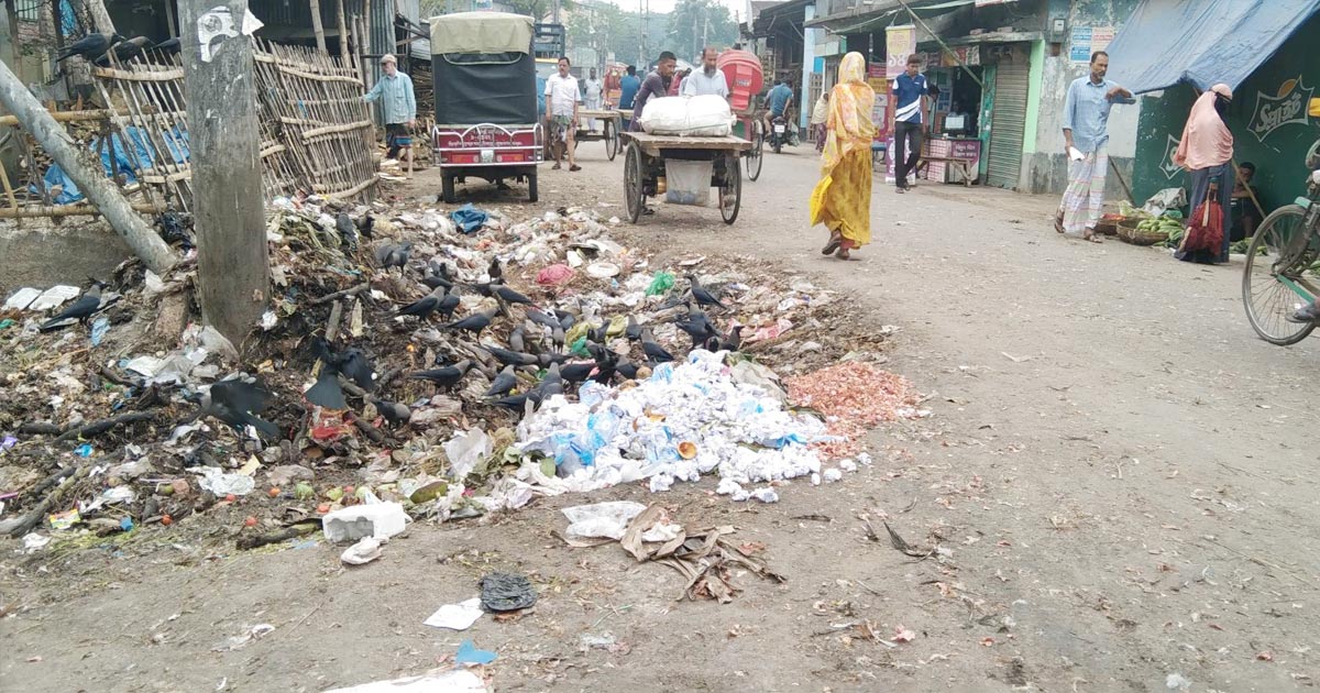‘রাস্তায় ময়লা আবর্জনা থাকলে সমস্যা কী’