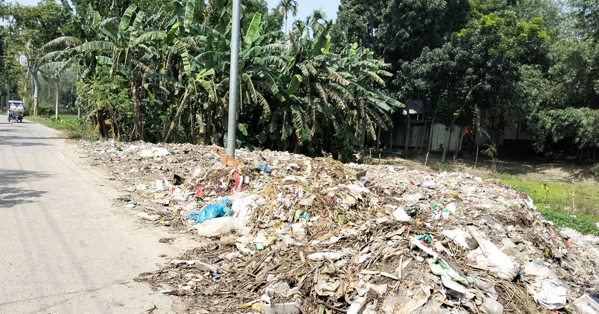 রাস্তার পাশে ময়লার ভাগাড়, ভয়াবহ পরিবেশ দূষণ