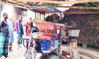 গরু নয়, ঘানি টানছে অটোরিকশা