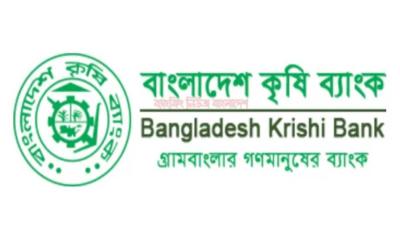 চারদিন হ্যাকারের হাতে কৃষি ব্যাংকের সার্ভার