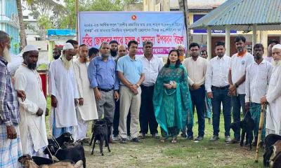 ডামুড্যায় দরিদ্র মৎস্যজীবীদের ছাগল ও খাদ্য উপকরণ বিতরণ