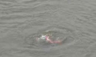 ঠাকুরগাঁওয়ে পুকুরে ডুবে আপন ভাই-বোনের মৃত্যু