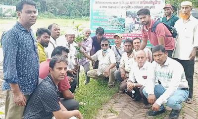 রাউজান প্রেসক্লাবের বৃক্ষরোপন কর্মসূচি অনুষ্ঠিত