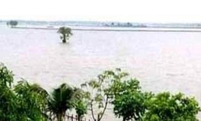 অতিবর্ষণে ১০ হাজার বিঘা আমন চাষ হুমকির সম্মুখীন