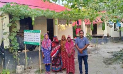 নড়াইলের আশ্রয়ণে বস্তা পদ্ধতিতে সবজি চাষ