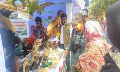 জাবিতে পাখি মেলা অনুষ্ঠিত