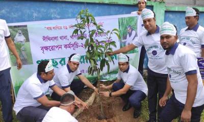 দীঘিনালা থানায় বৃক্ষরোপণ কর্মসূচির উদ্বোধন