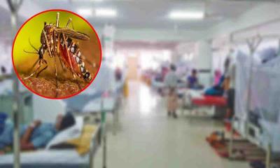 ডেঙ্গুতে ৩ জনের মৃত্যু, হাসপাতালে ৮৮৯ রোগী