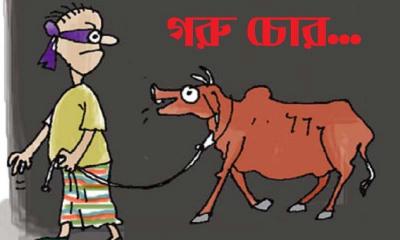 রাজবাড়ীতে গরু চুরির আগেই গণধোলাই খেল ২ যুবক