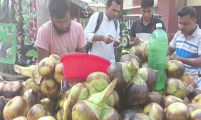 গরমে কাউনিয়ায় বাড়ছে তাল শাঁসের চাহিদা