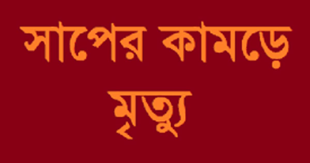 রাণীশংকৈলে সাপের কামড়ে বিশ্ববিদ্যালয় ছাত্রের মৃত্যু