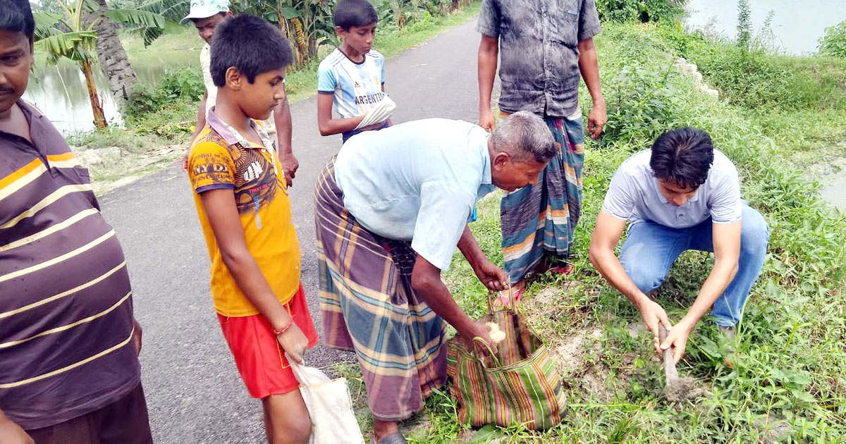 চিত্তরঞ্জনের তালবীজ-চারা রোপণের ১৪ বছর