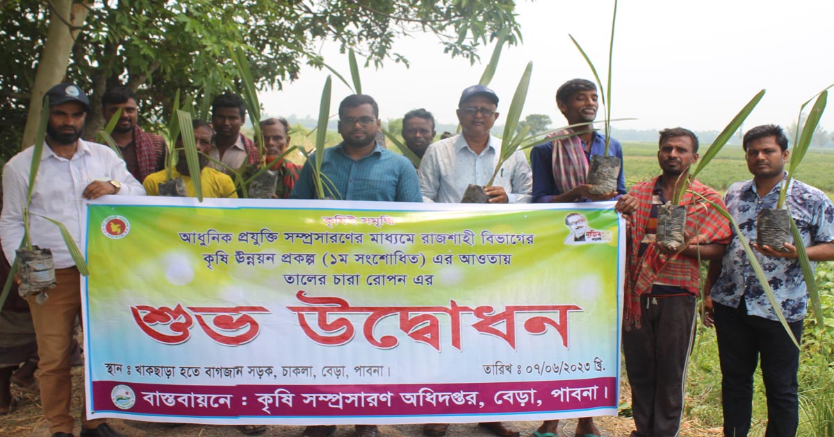 বজ্রপাত রোধে বেড়ায়  ৪শ‍‍` তালগাছের চারা রোপন