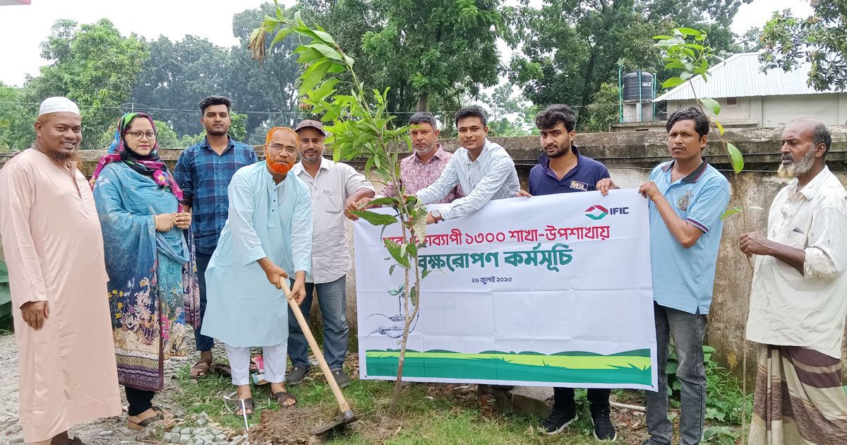 বীরগঞ্জে আইএফআইসি ব্যাংকের  বৃক্ষরোপণ কর্মসূচি