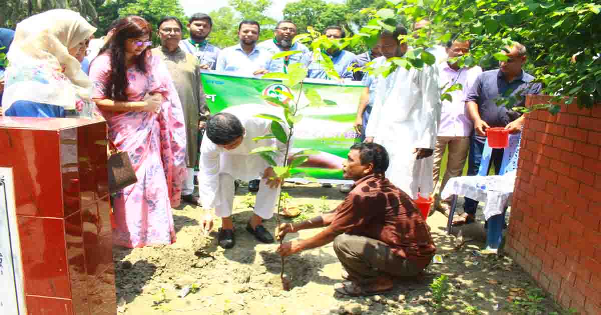 মির্জাপুরে ১৫ হাজার বৃক্ষরোপণ