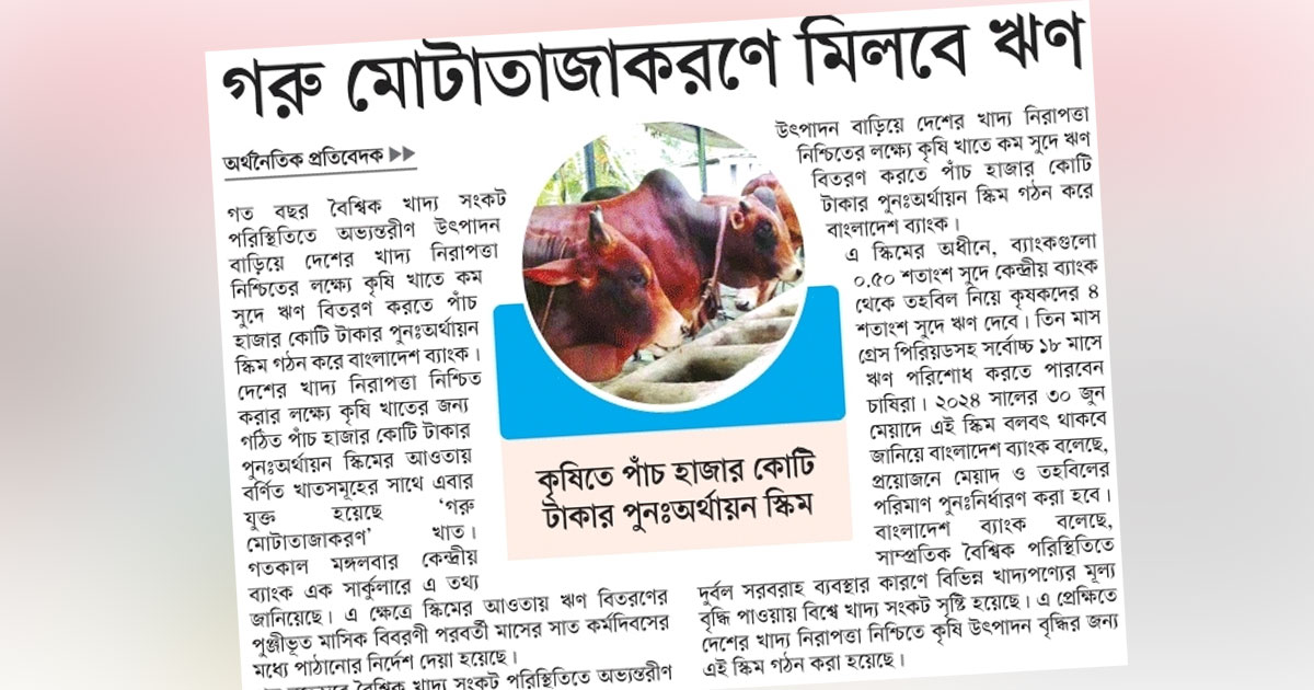 গরু মোটাতাজাকরণে মিলবে ঋণ
