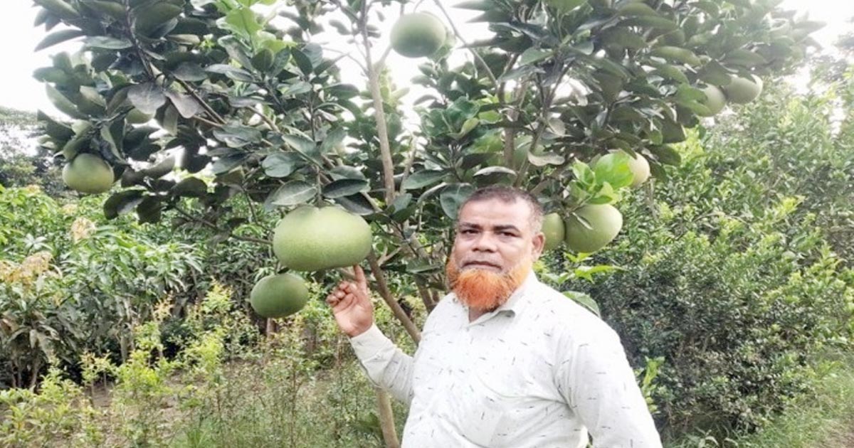 নার্সারি করে সফল কৃষক আব্দুল গফুর