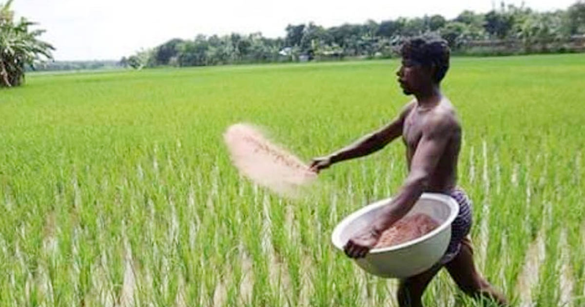 রাসায়নিক সারের দাম কেজিতে বাড়লো ৫ টাকা