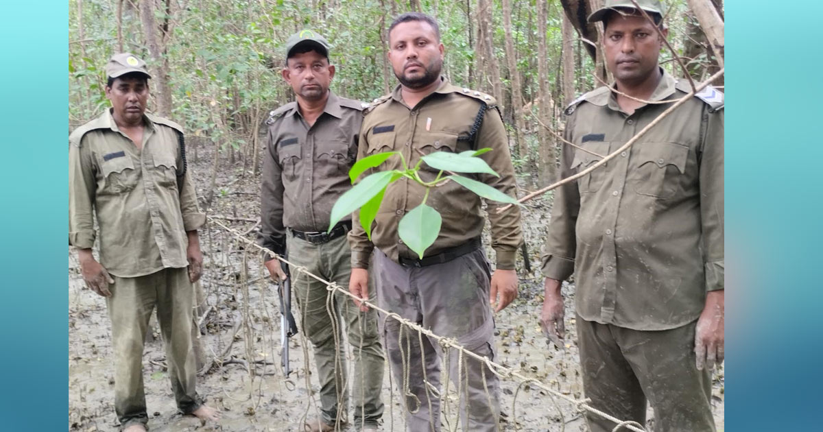 সুন্দরবনে হরিণ শিকারী গুলিবিদ্ধ