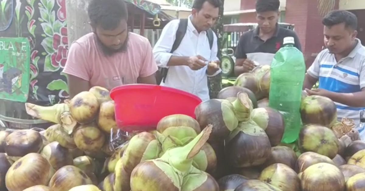 গরমে কাউনিয়ায় বাড়ছে তাল শাঁসের চাহিদা