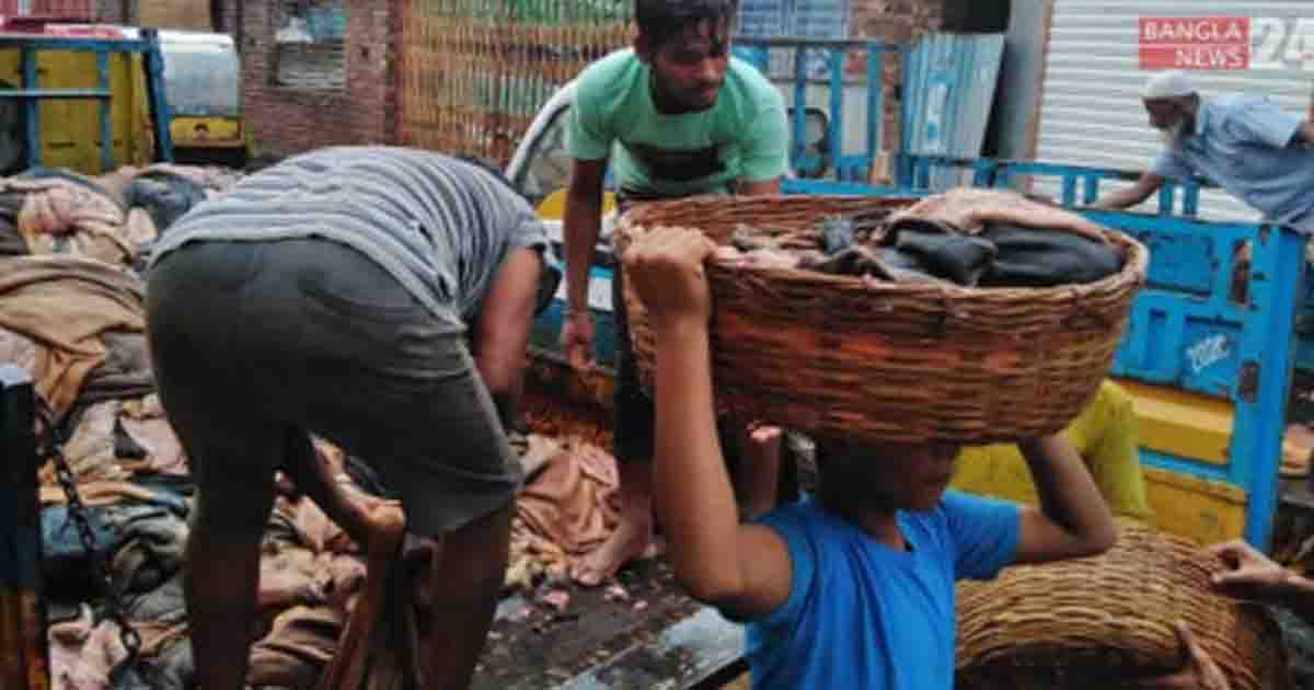 সাড়ে ৪ লাখ চামড়া সংগ্রহ